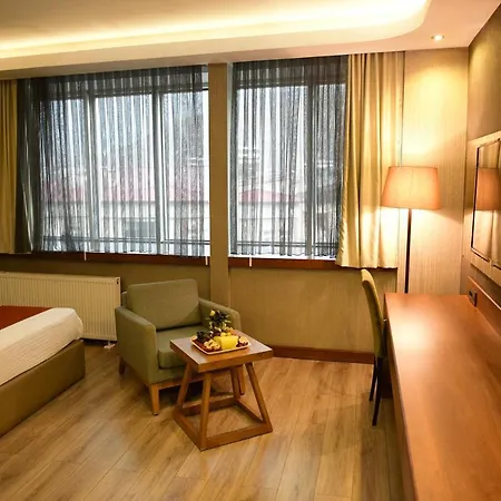 Turizoom Business &